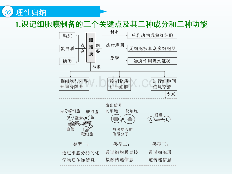 复习细胞膜(含生物膜的流动镶嵌模型)与细胞核PPT格式课件下载.ppt_第3页