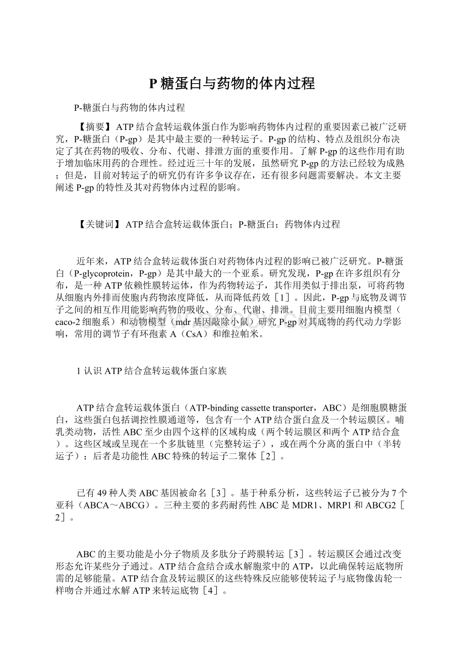 P糖蛋白与药物的体内过程Word文档格式.docx_第1页