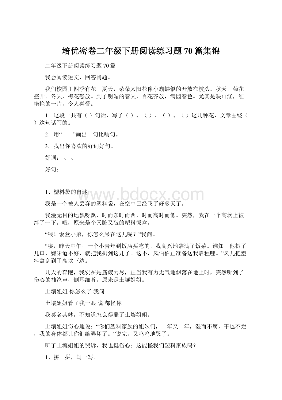 培优密卷二年级下册阅读练习题70篇集锦Word文档下载推荐.docx