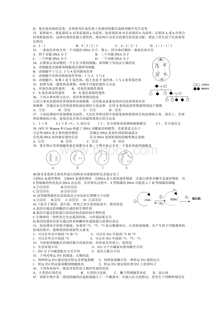 高中生物必修二期末精选试题.doc_第3页