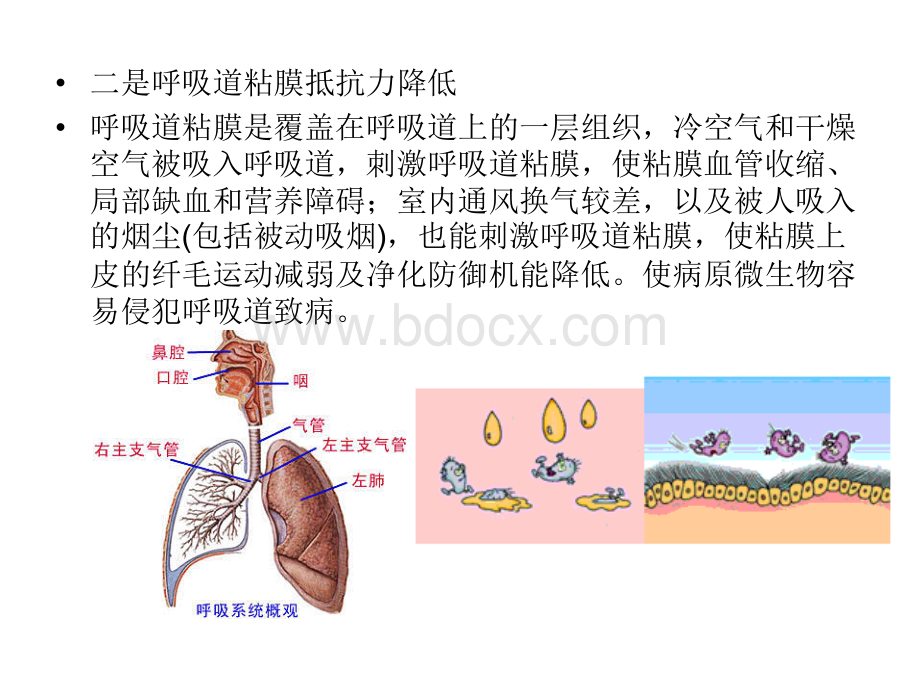 冬春季常见传染病预防知识课件ppt.ppt_第3页