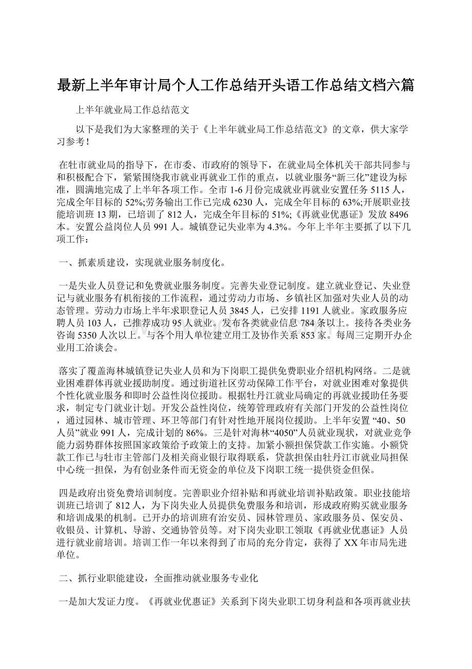 最新上半年审计局个人工作总结开头语工作总结文档六篇.docx