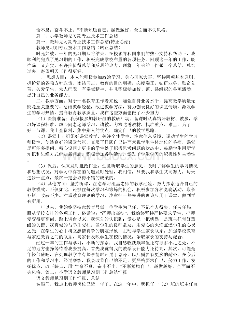 小学教师见习期专业技术工作总结.docx_第2页