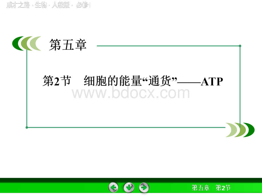 细胞的能量“通货”.ppt