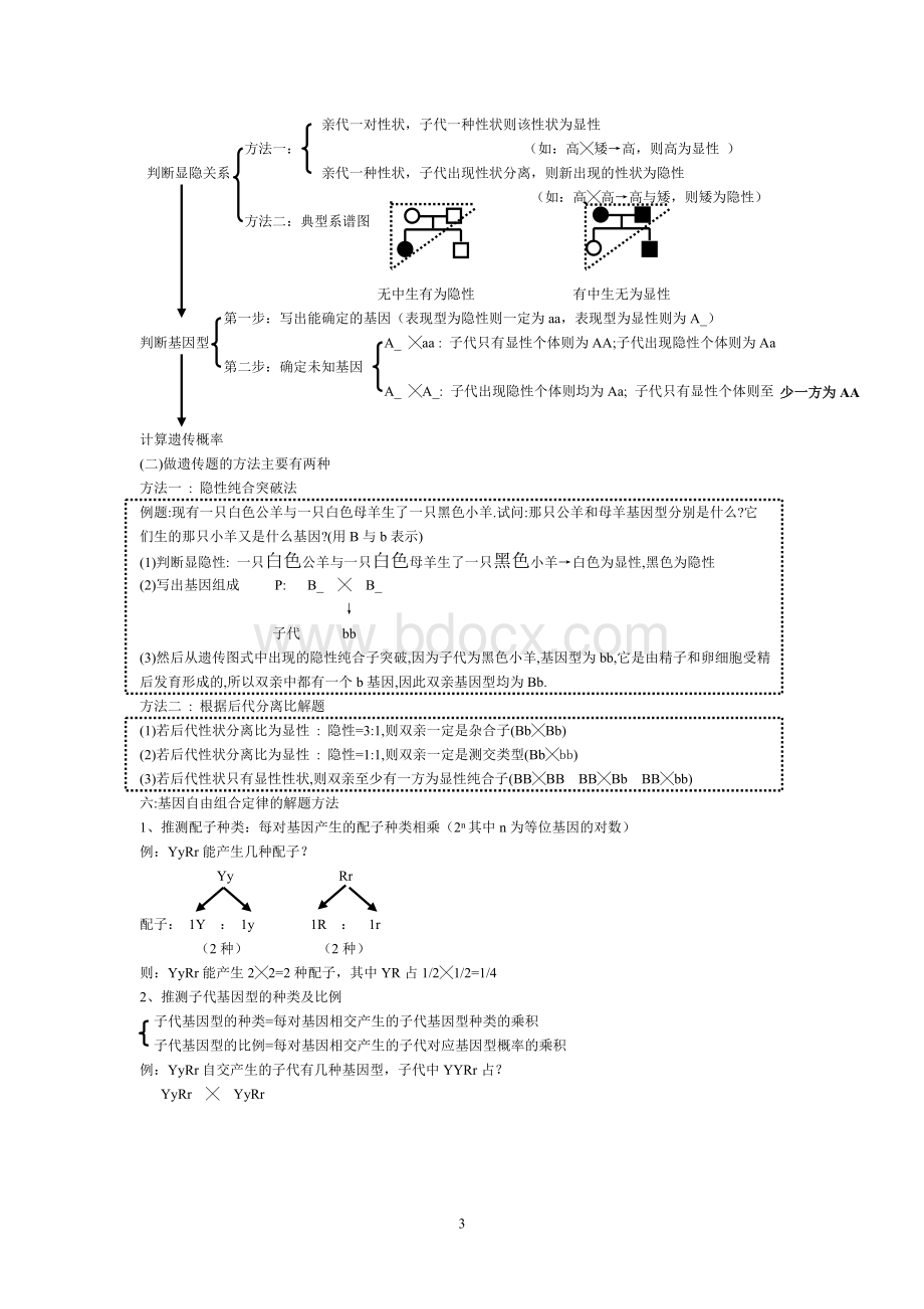 新人教版高中生物必修2基础知识整理Word文件下载.doc_第3页