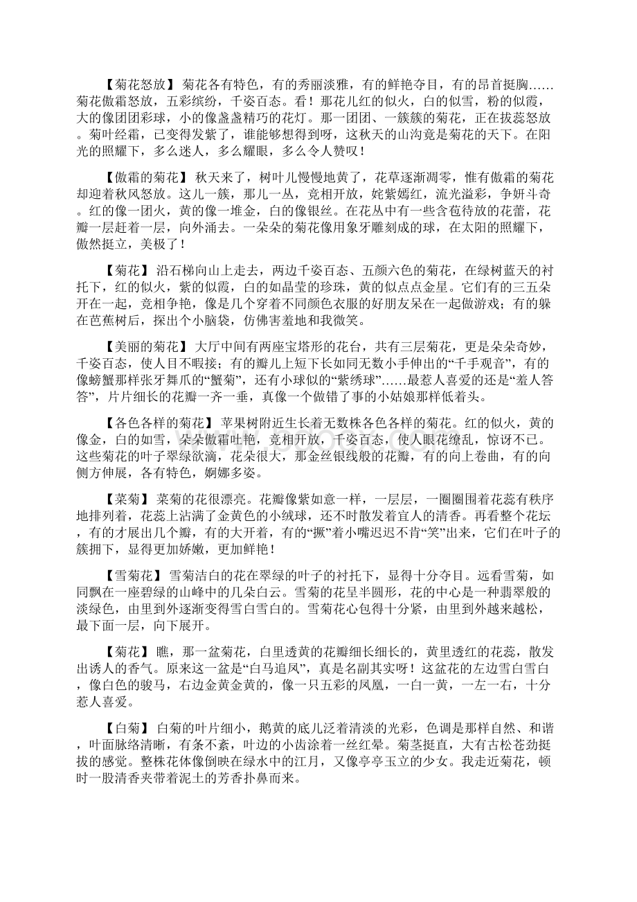 形容黄色的花Word下载.docx_第2页