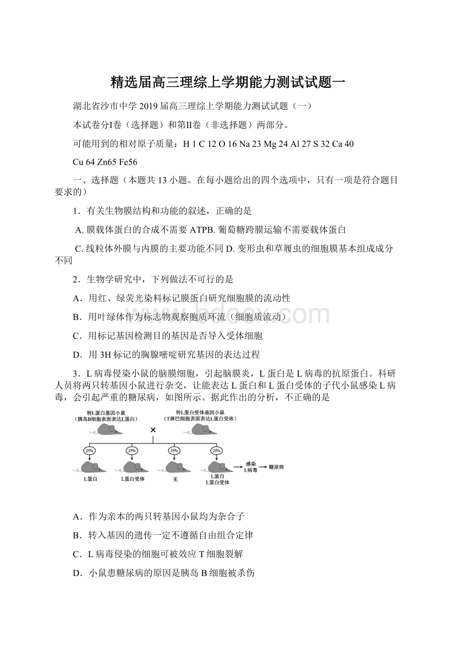 精选届高三理综上学期能力测试试题一Word文档下载推荐.docx_第1页