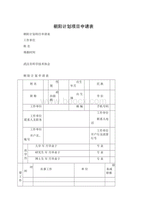 朝阳计划项目申请表.docx