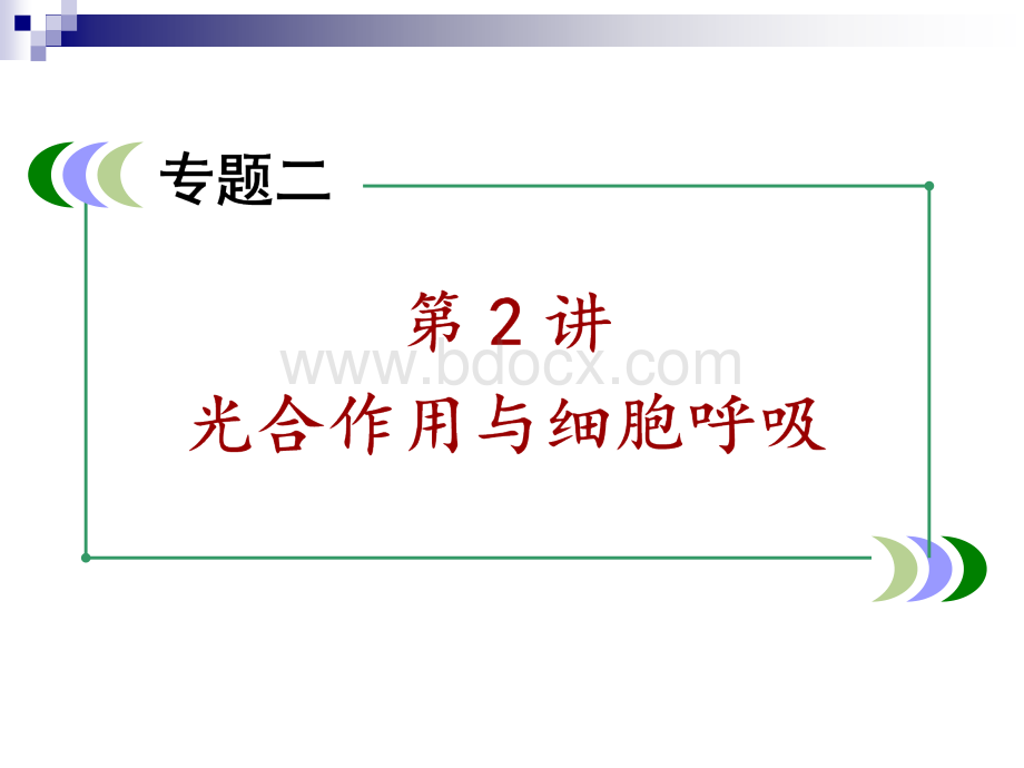 高三复习光合作用与呼吸作用.ppt_第2页