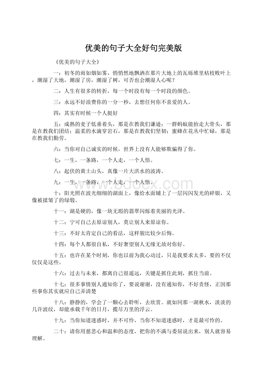 优美的句子大全好句完美版文档格式.docx