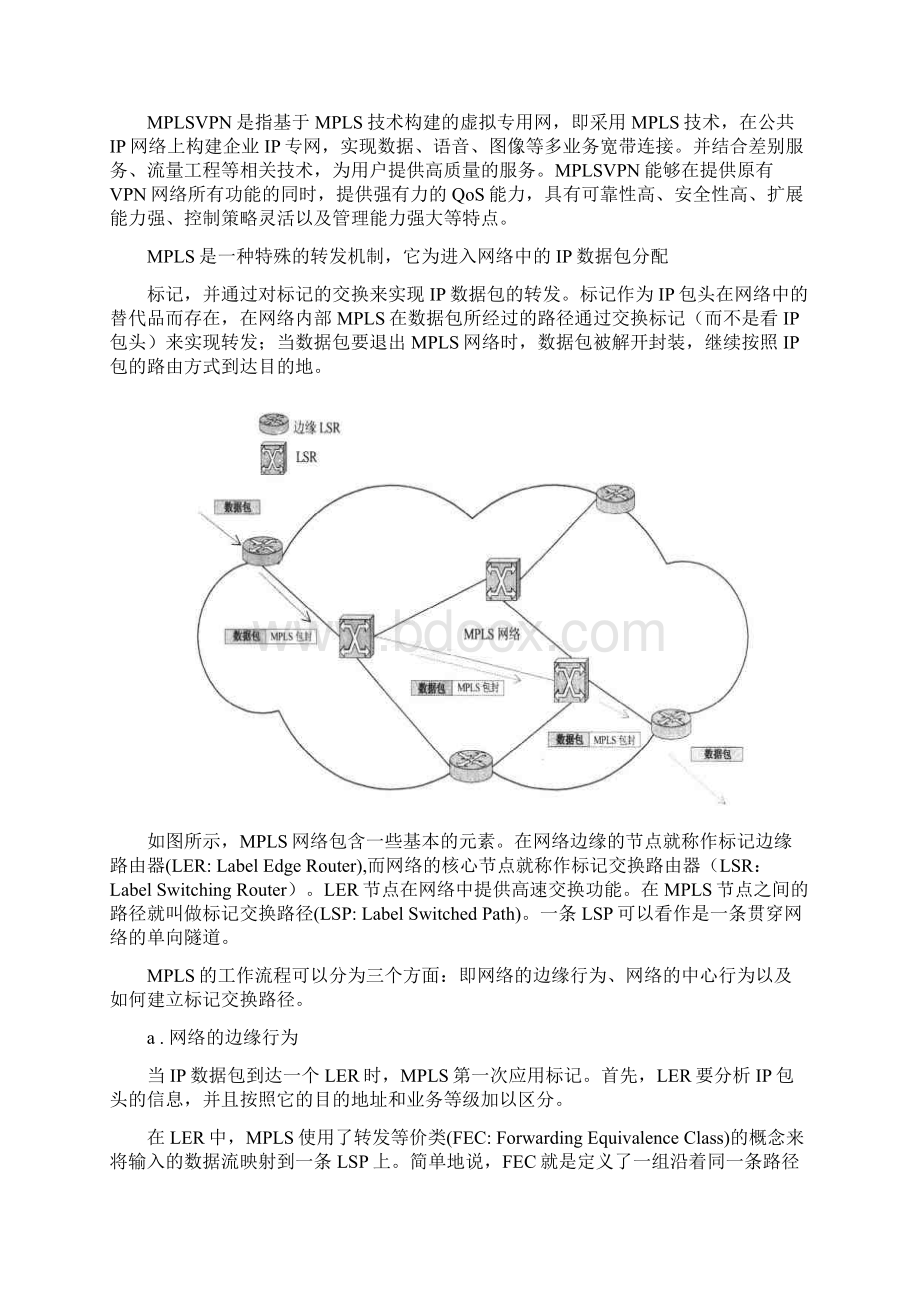 IP交换与路由技术课程报告模板Word文档格式.docx_第2页