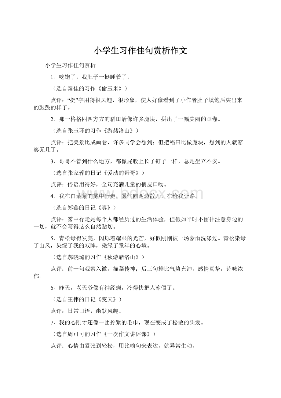 小学生习作佳句赏析作文文档格式.docx