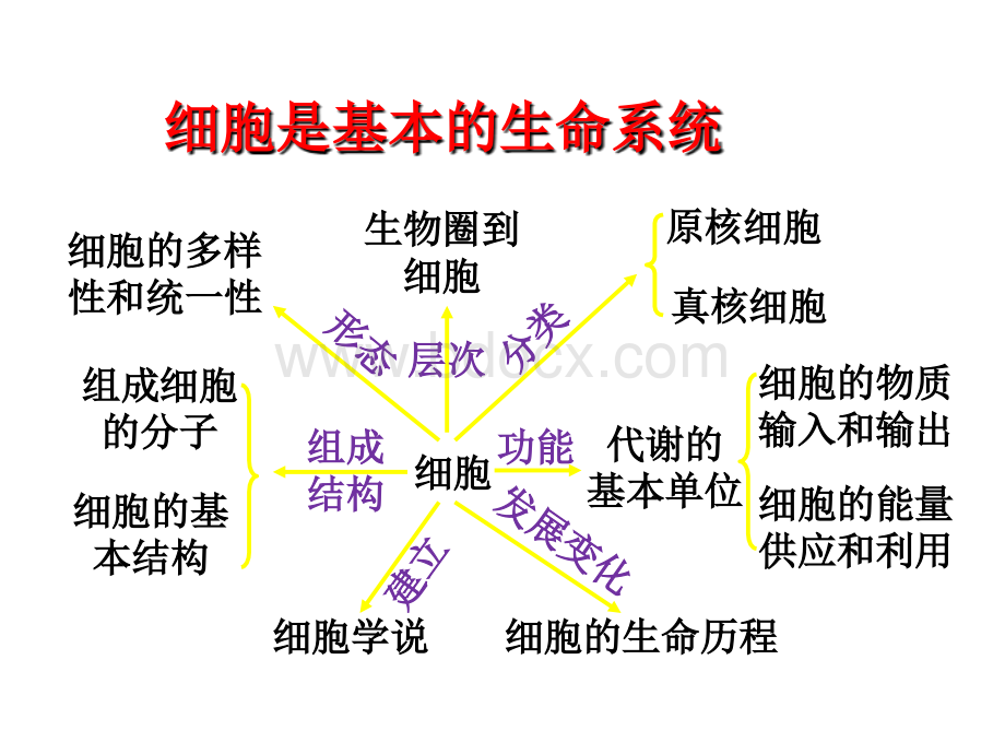 人教版高中生物必修一.ppt_第3页