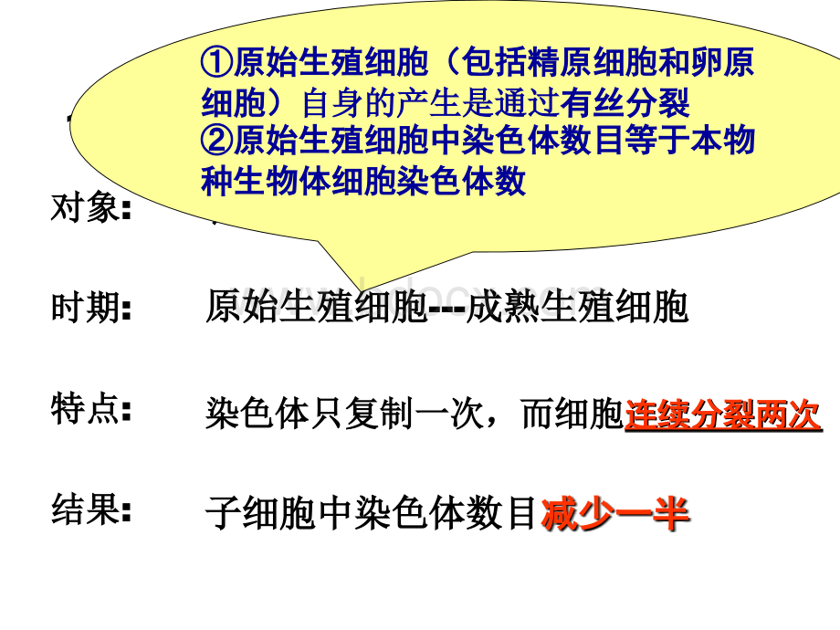 生物必修二：减数分裂(含动画).ppt_第2页