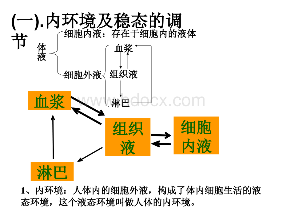 稳态与免疫-高中三年级生物课件.ppt_第1页