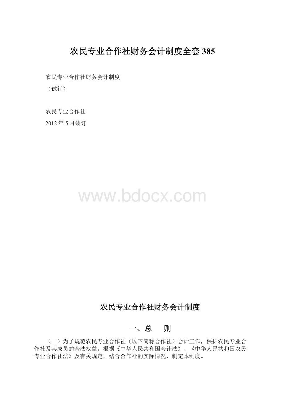 农民专业合作社财务会计制度全套385文档格式.docx