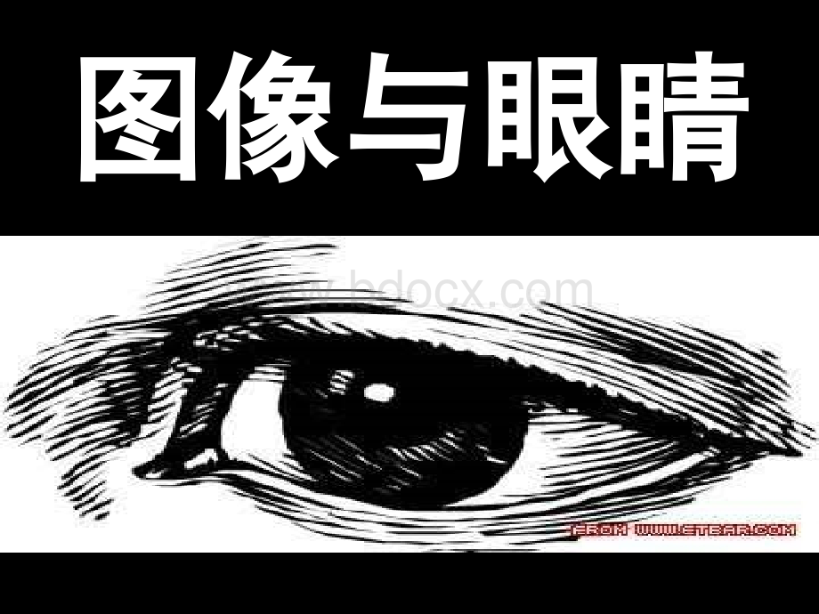 第二课图像与眼睛优质PPT.ppt_第1页