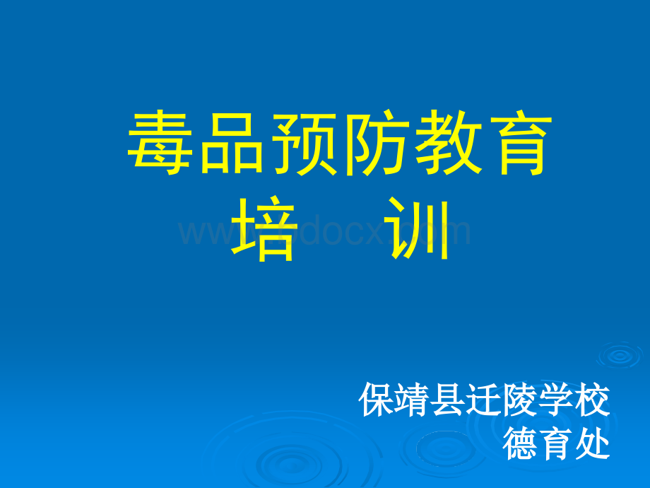 毒品预防教育培PPT文档格式.ppt