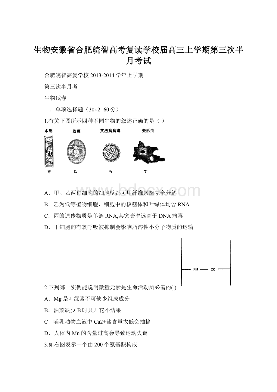 生物安徽省合肥皖智高考复读学校届高三上学期第三次半月考试Word文件下载.docx