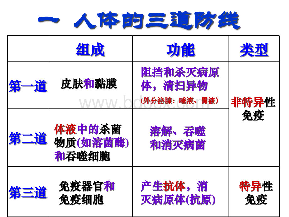 4.免疫调节2.ppt_第2页