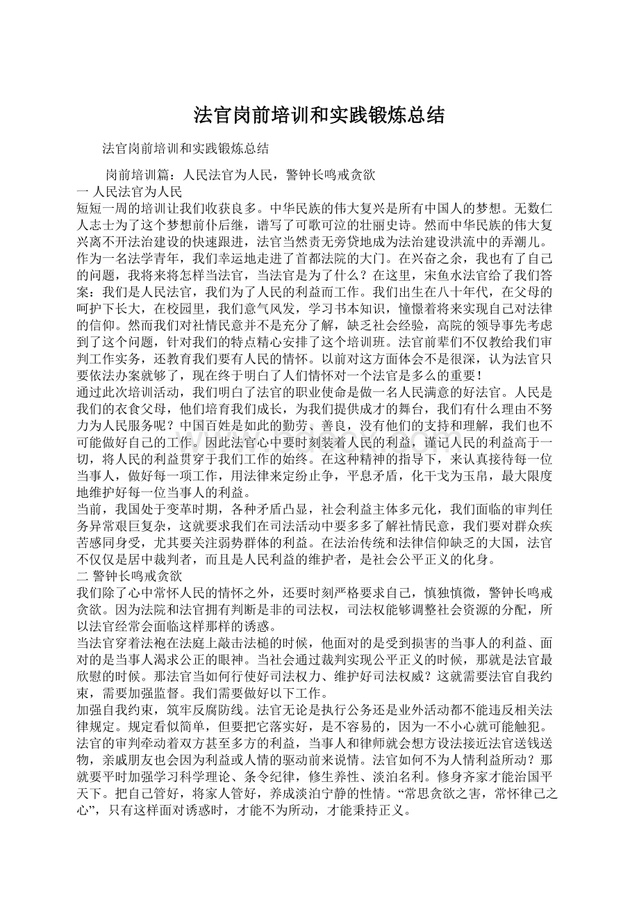 法官岗前培训和实践锻炼总结.docx