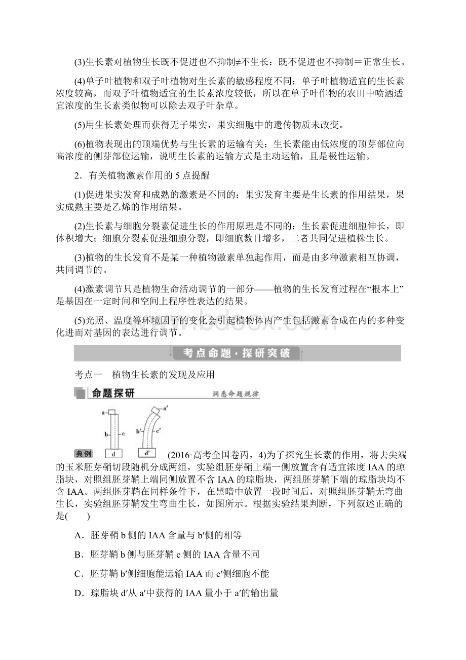 高考生物考前冲刺复习讲义第1部分专题十一 植物.docx_第2页