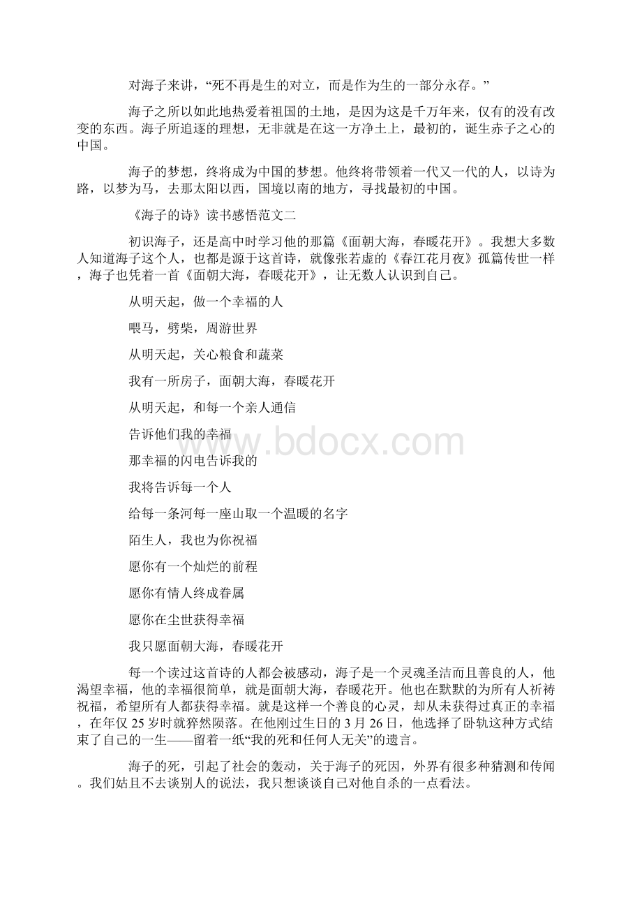 《海子的诗》读书感悟范文5篇docWord格式文档下载.docx_第2页