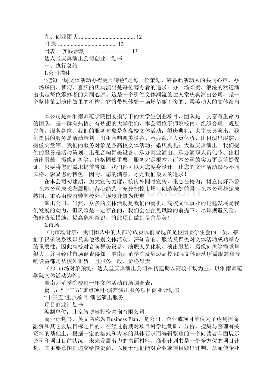 演出商业计划书文档格式.docx_第2页