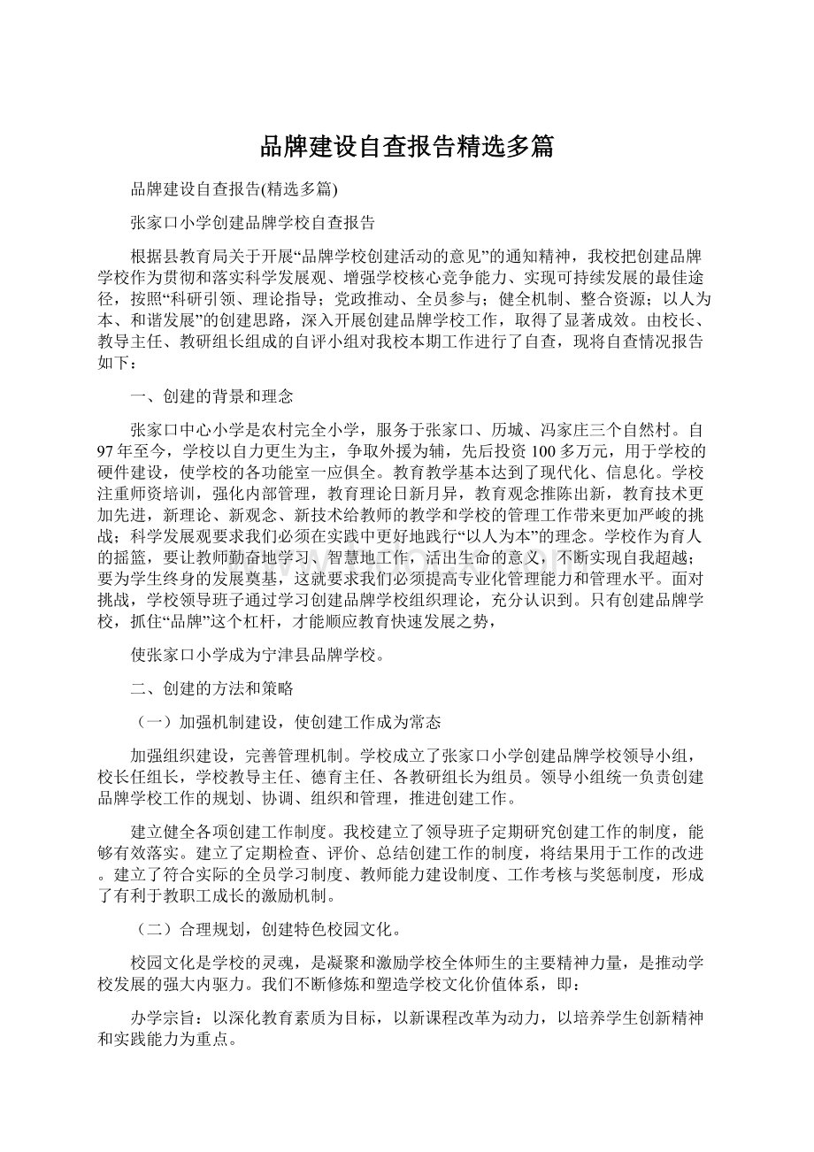 品牌建设自查报告精选多篇.docx