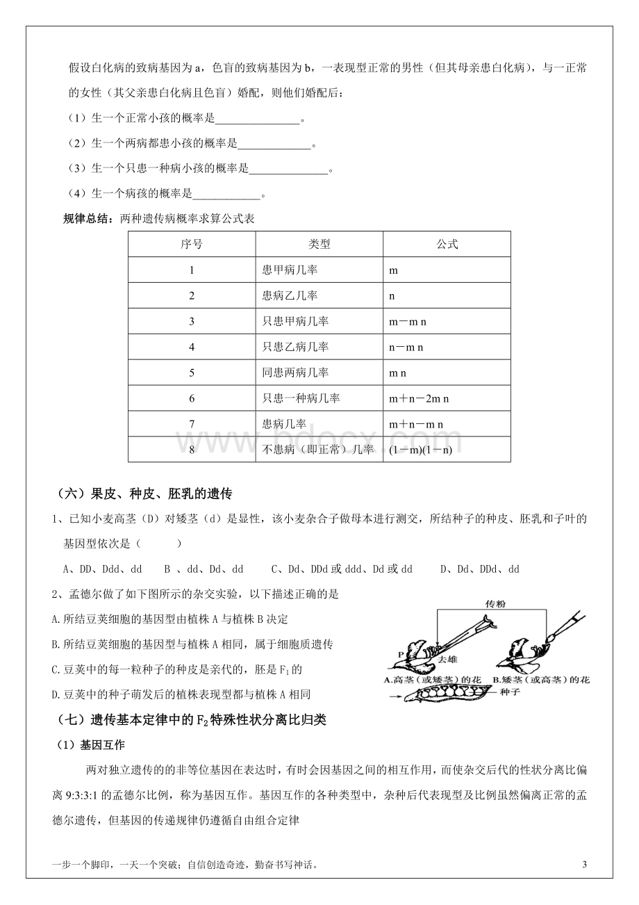 生物遗传规律经典题型总结Word格式.doc_第3页