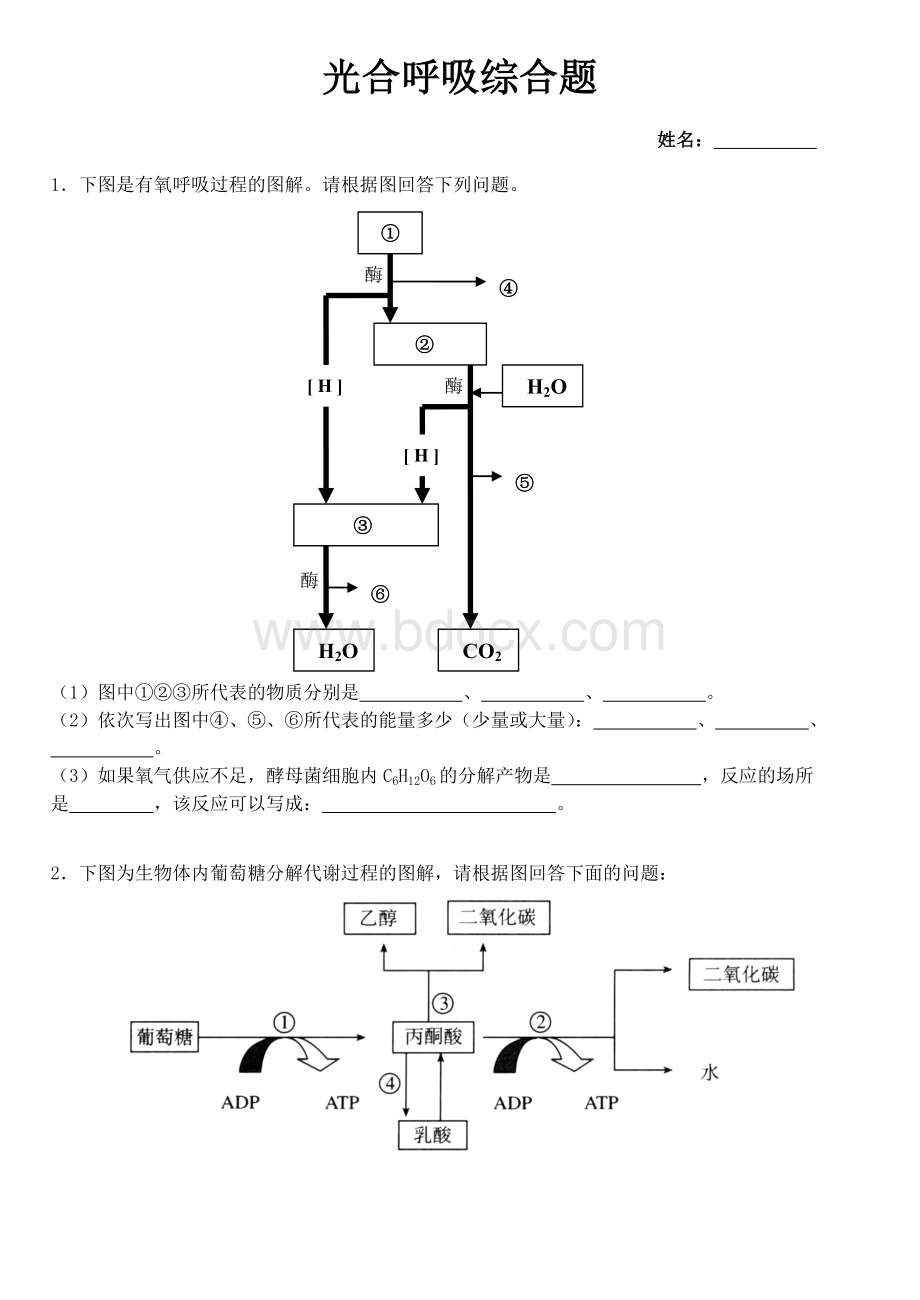 光合呼吸综合题及答案Word文档下载推荐.doc_第1页