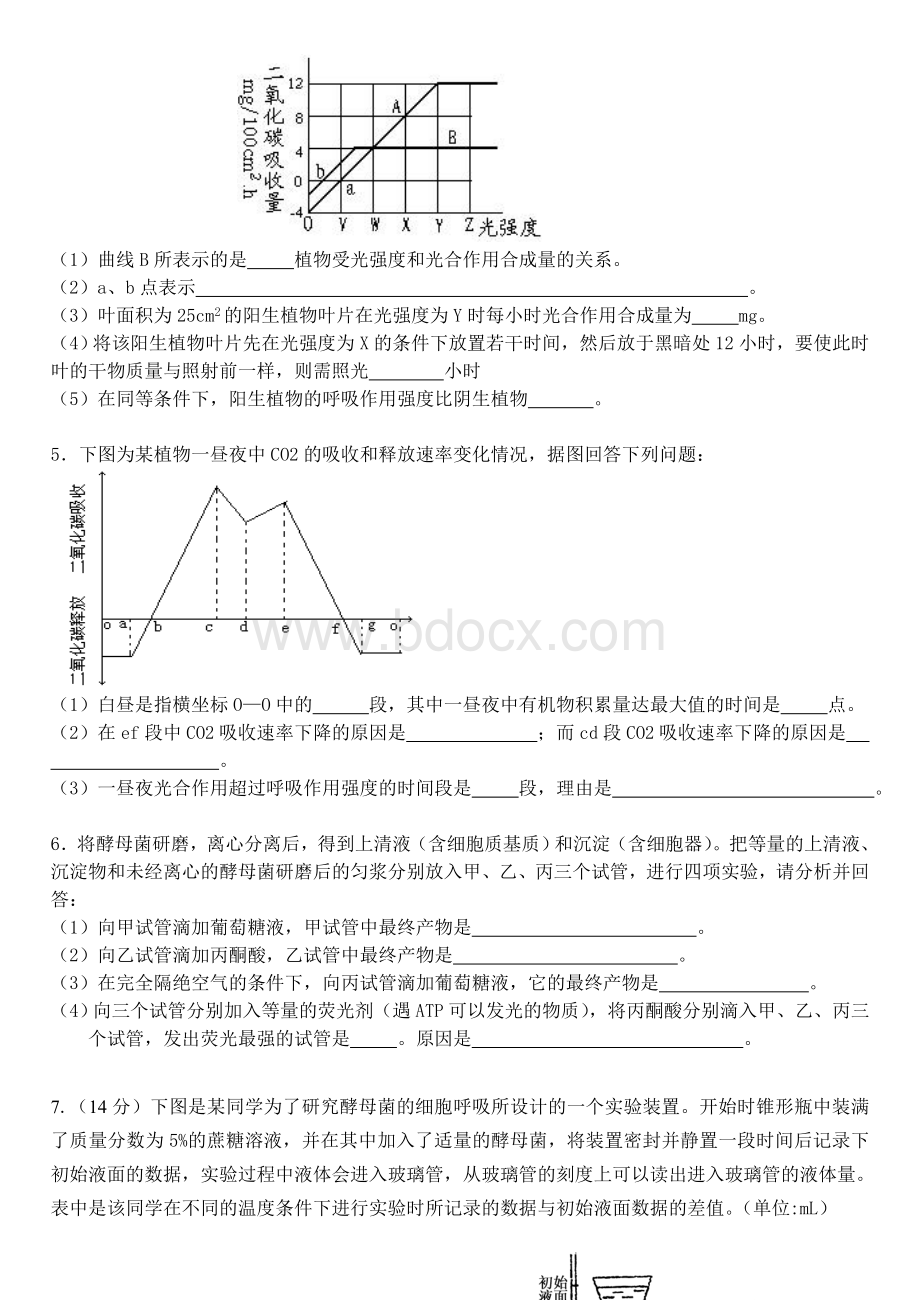 光合呼吸综合题及答案Word文档下载推荐.doc_第3页