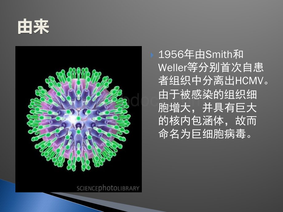 儿童巨细胞病毒性疾病诊断和防治PPT格式课件下载.pptx_第2页