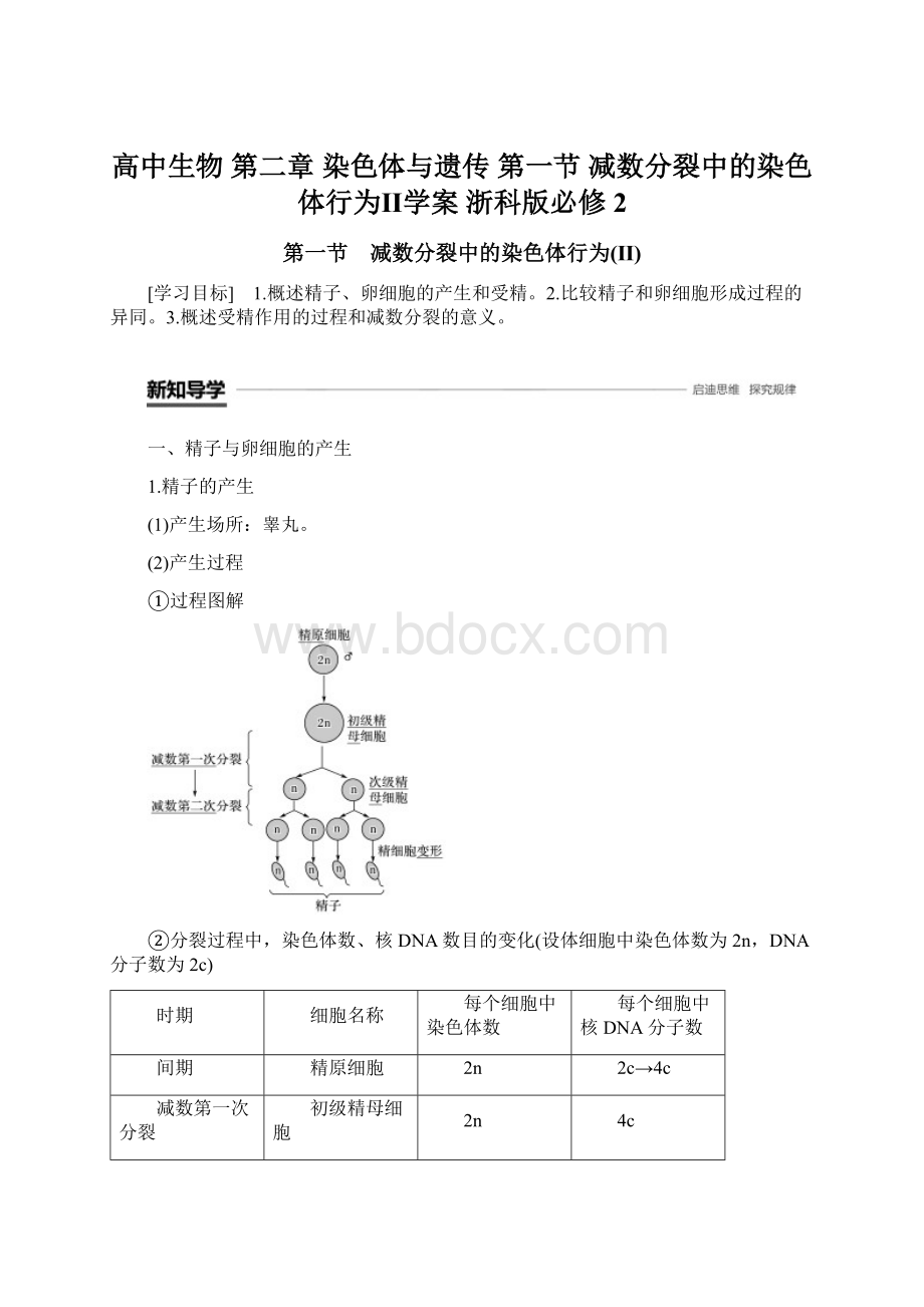 高中生物 第二章 染色体与遗传 第一节 减数分裂中的染色体行为Ⅱ学案 浙科版必修2.docx