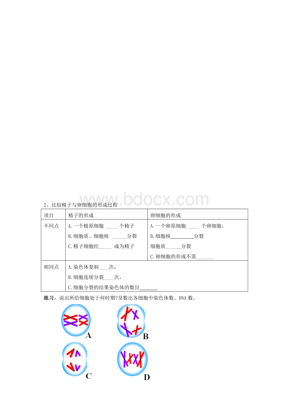 减数分裂导学案.doc_第2页