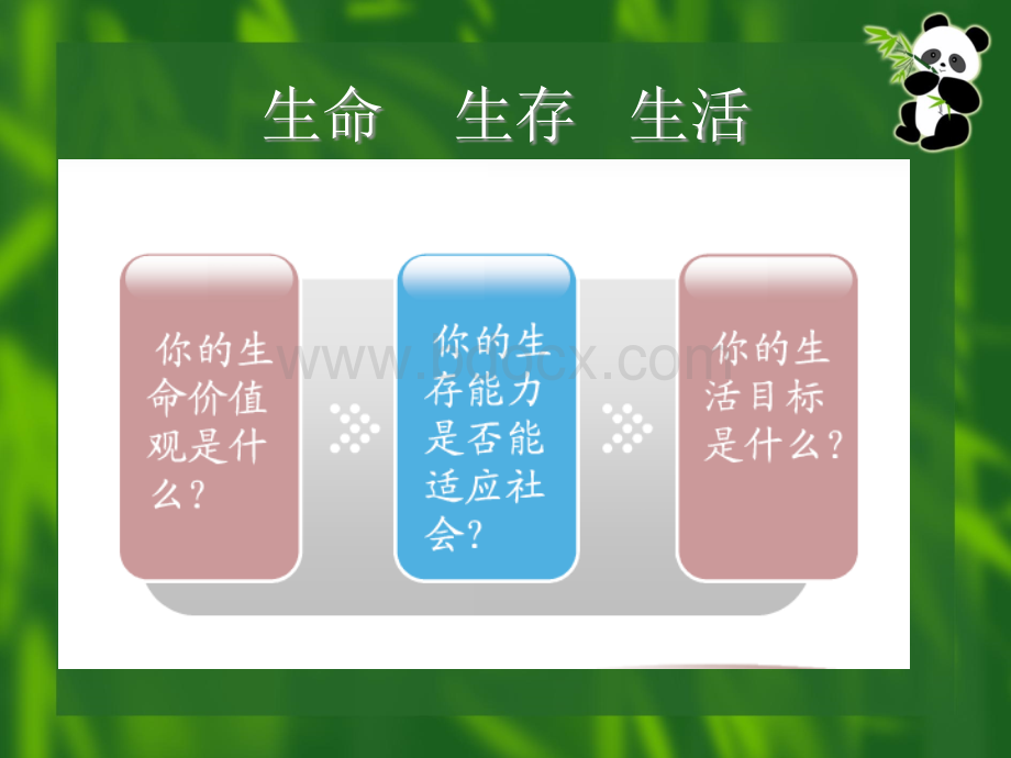 三生教育课件.ppt_第2页