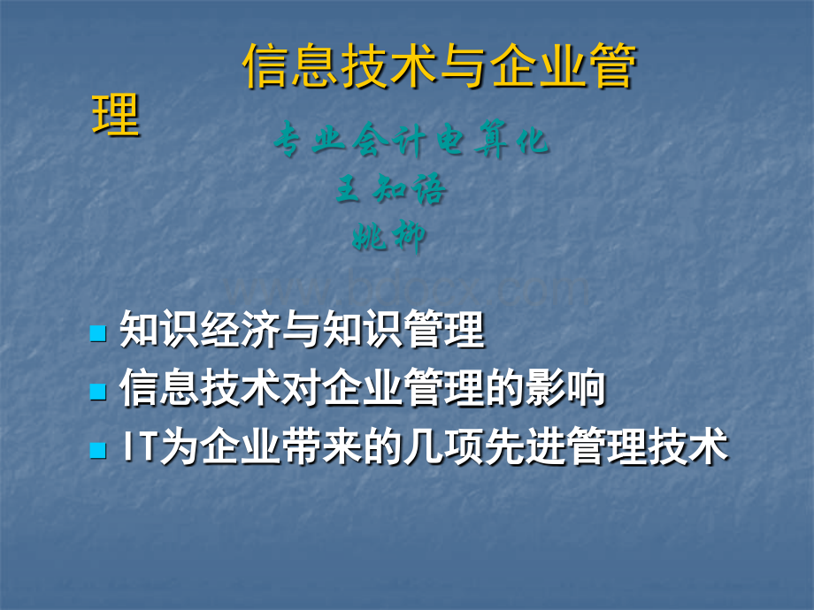 信息技术与企业管理.ppt