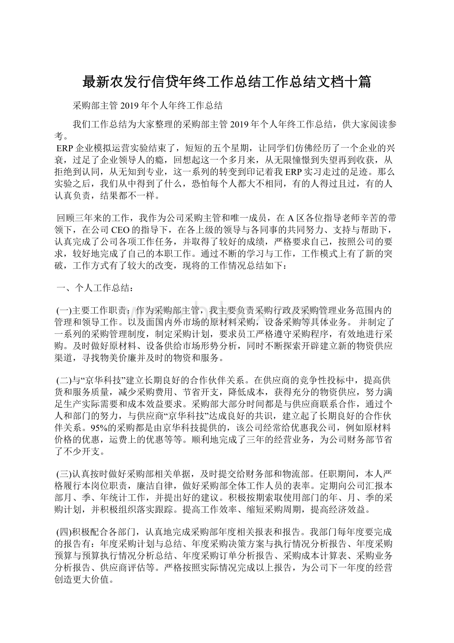 最新农发行信贷年终工作总结工作总结文档十篇.docx