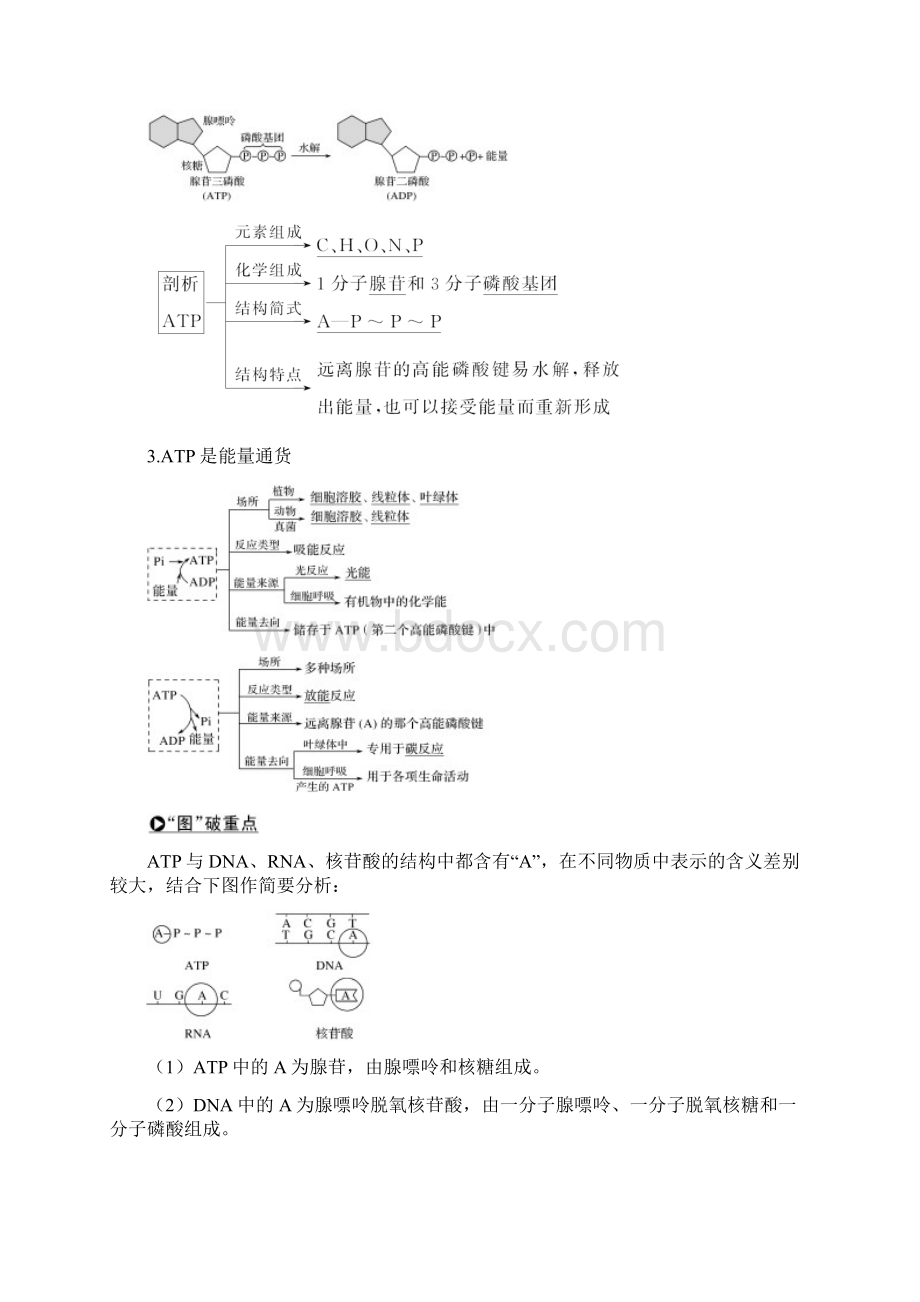 浙江选考版高考生物一轮复习第4讲ATP与酶学案.docx_第3页