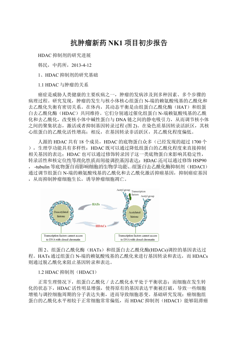 抗肿瘤新药NK1项目初步报告Word格式.docx_第1页