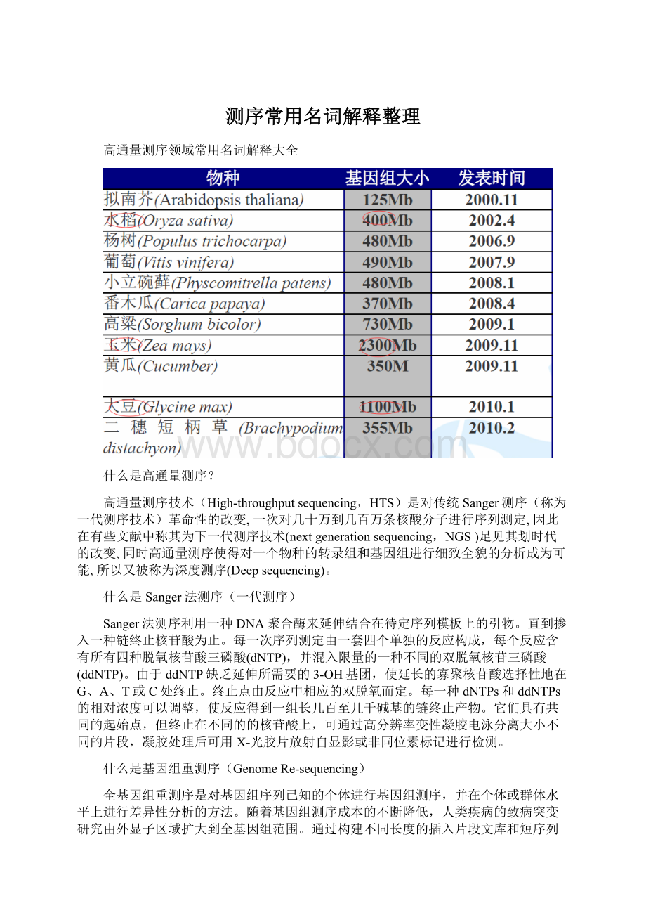 测序常用名词解释整理Word格式.docx