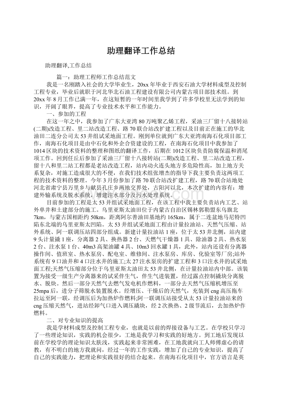 助理翻译工作总结Word文件下载.docx