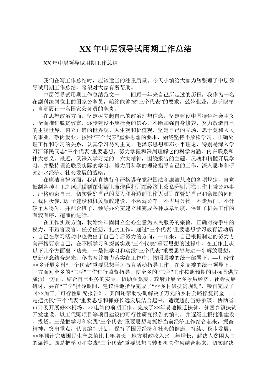 XX年中层领导试用期工作总结Word格式文档下载.docx_第1页