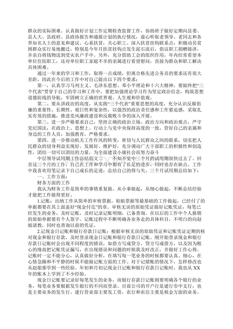 XX年中层领导试用期工作总结Word格式文档下载.docx_第2页