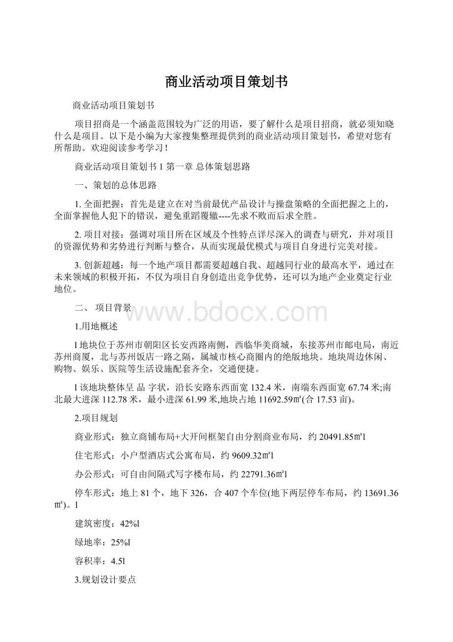 商业活动项目策划书Word文档格式.docx