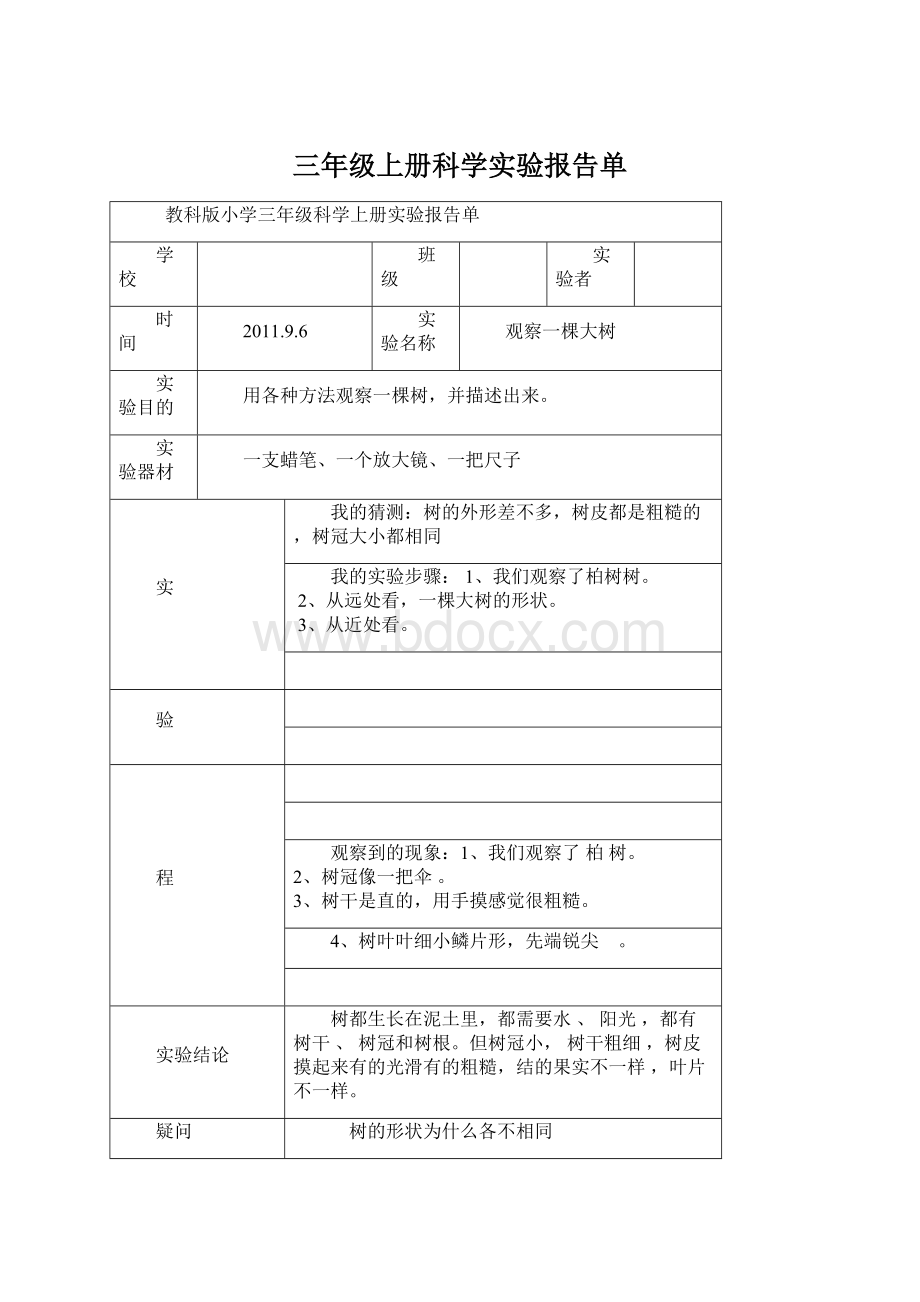 三年级上册科学实验报告单.docx