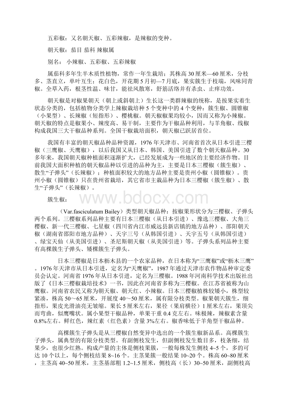 绚丽多彩的五彩椒一Word文档格式.docx_第2页