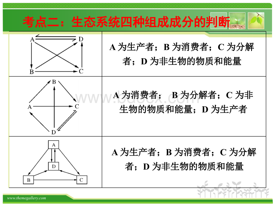 高三二轮复习专题生态系统.ppt_第3页