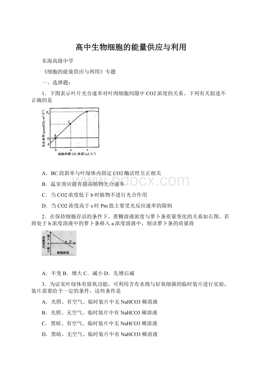 高中生物细胞的能量供应与利用Word文档格式.docx