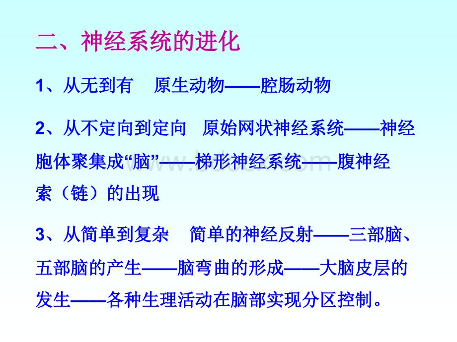 章节神经系统PPT课件下载推荐.ppt_第3页